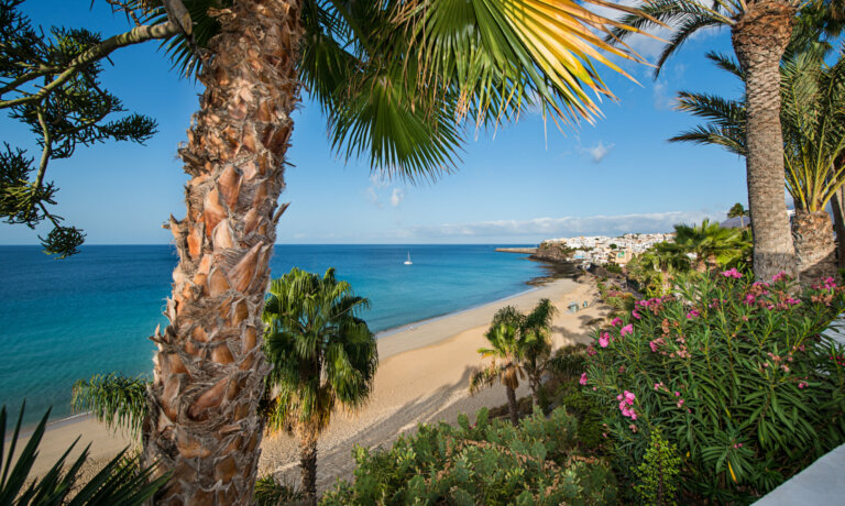 joga zajezd fuerteventura ial 1 scaled